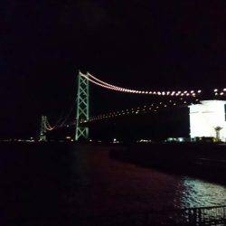 イカはイカでも