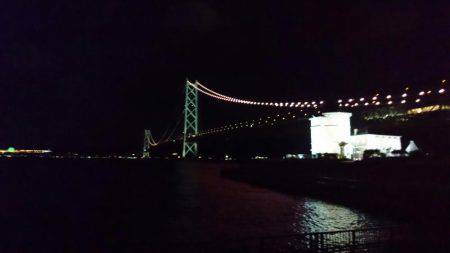 イカはイカでも