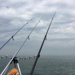 カレイ狙いその2