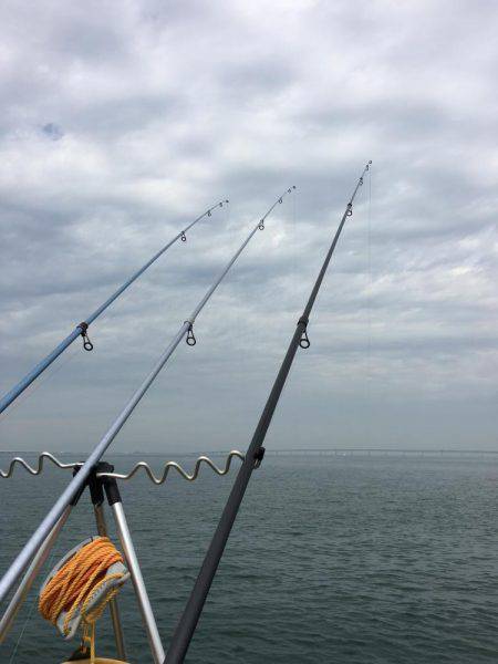 カレイ狙いその2