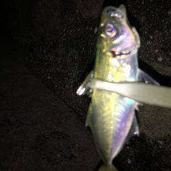 ライトゲーム！