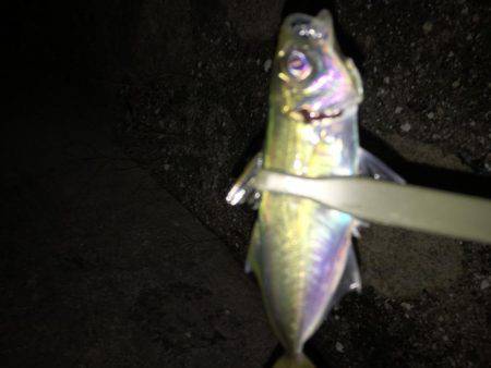 ライトゲーム！