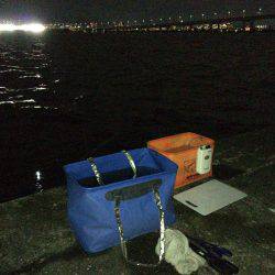 鳴尾浜で半夜釣り