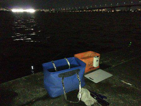 鳴尾浜で半夜釣り