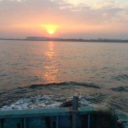 初めての船太刀魚