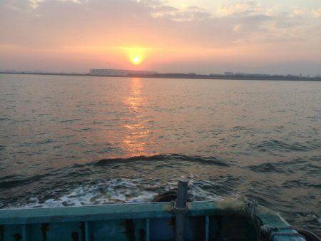 初めての船太刀魚