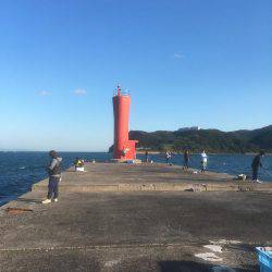 ショアジギング