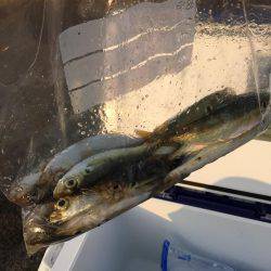 すんごい混雑…