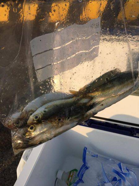 すんごい混雑…