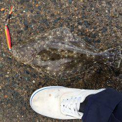 雨にも負けず風にも負けず！