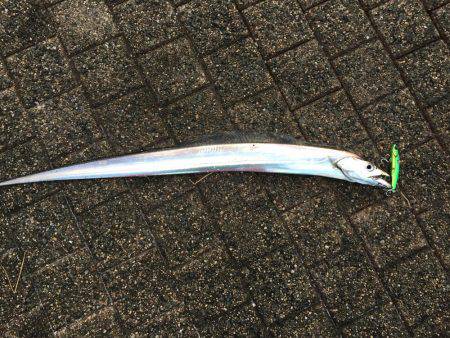 岸和田春木ベランダ刀狩り