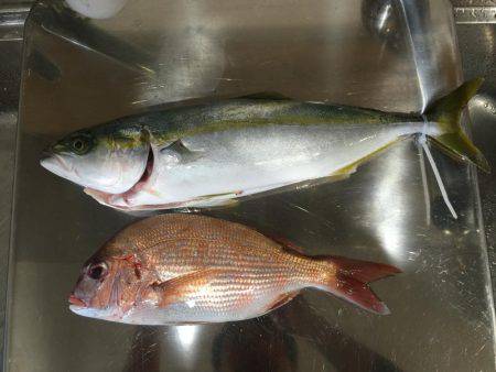 ジギング青物狙い