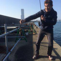 クルクル爆弾、コウイカだー