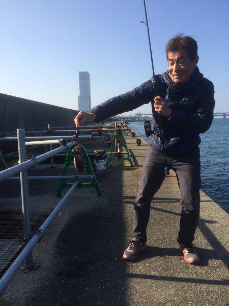 クルクル爆弾、コウイカだー