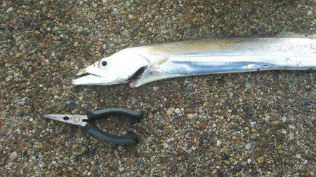 夕方のちょこっとだけ舞洲に