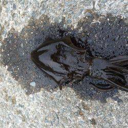 悲しサイズダウン！