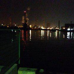 別府タチウオ釣査