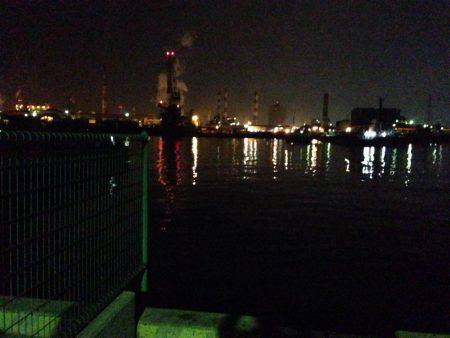 別府タチウオ釣査