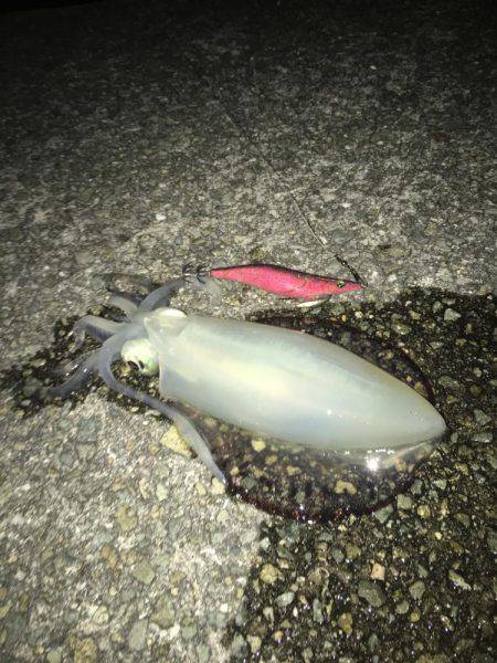 昨日のリベンジに