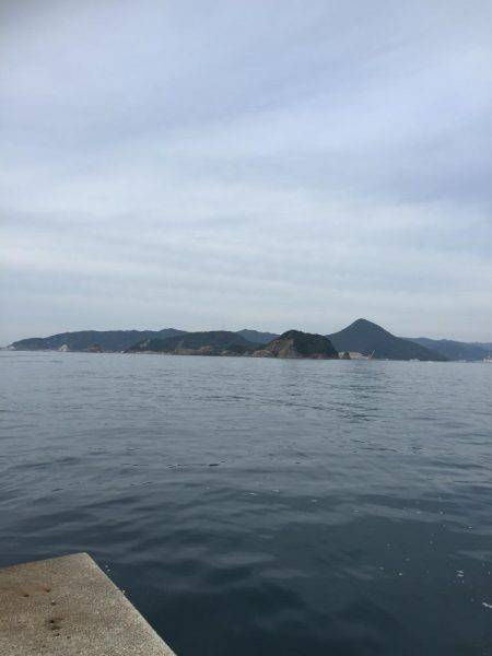 小浦一文字カゴ釣り 浜吉丸で行く