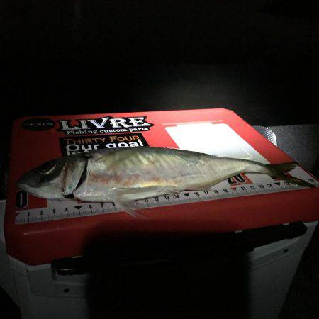 先週 爆風のリベンジ(^^)