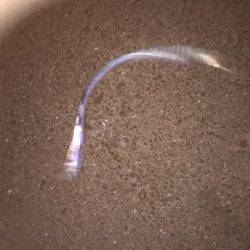 シーバス狙いが