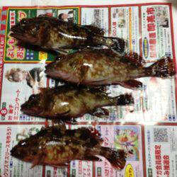 アジ狙いのはずが？