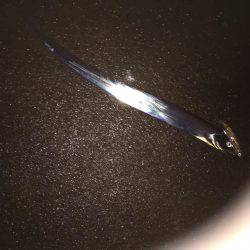 シーバス狙いが