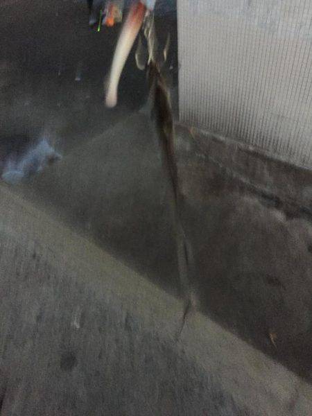 久々に太刀魚釣りに来ました