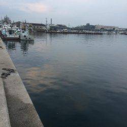 地震後のアジング調査！