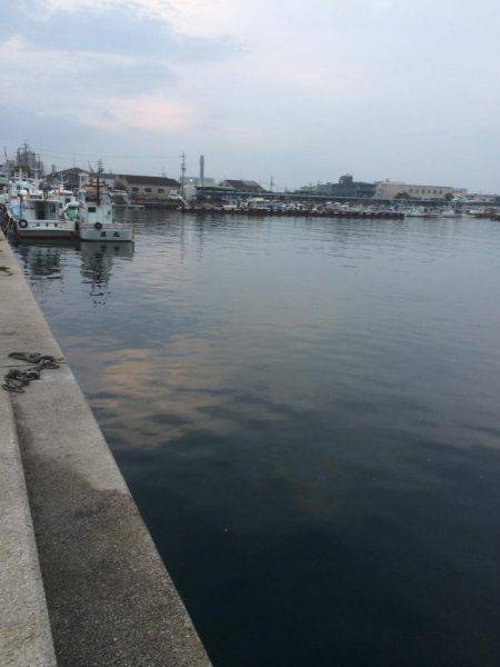 地震後のアジング調査！