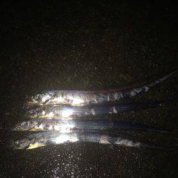 サイズもよく引きも強い