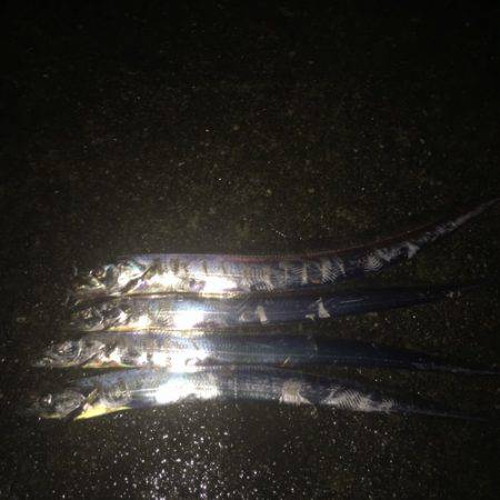 サイズもよく引きも強い