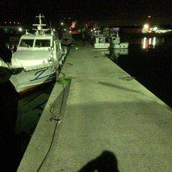 久しぶりのアジング