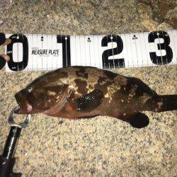 ライトゲーム&ロックフィッシュゲーム