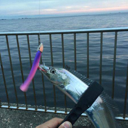 最近好調の芦屋浜に