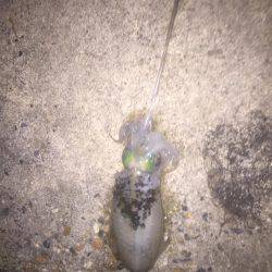 一投目からガッツと(笑)