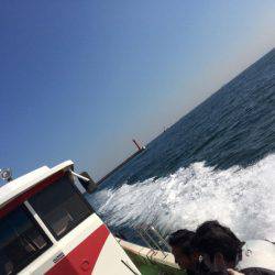 エギ竿からのさわら!