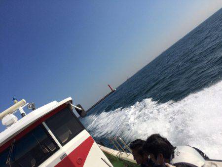 エギ竿からのさわら!