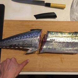 サワラリベンジ