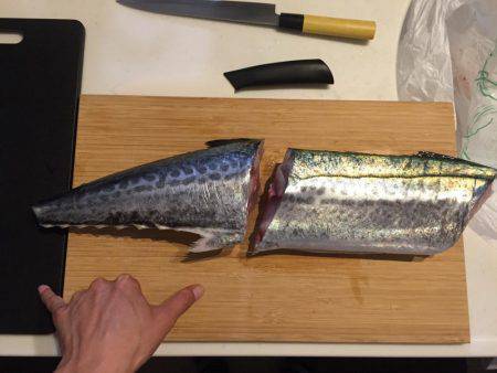 サワラリベンジ