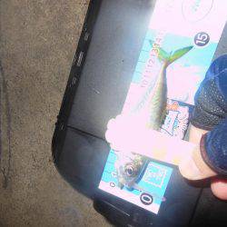 ちょこっとアジング