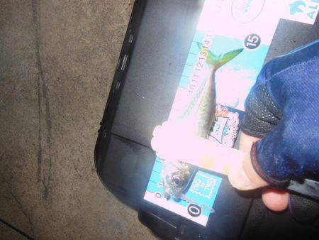 ちょこっとアジング