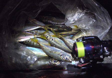 タチウオもええけどアジもおもろい