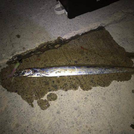 厳しい状況の中での釣行!!