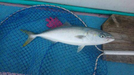 海の大物を探しに旅に出た