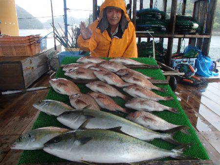 カタタのつり堀 釣果