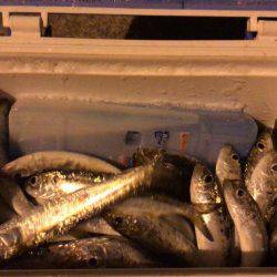 常夜灯リベンジ