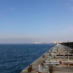 ベラ、チャリコGET！！