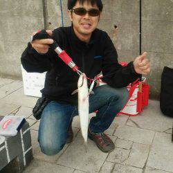 秋アオリが釣りたい　～season2淡路遠征～